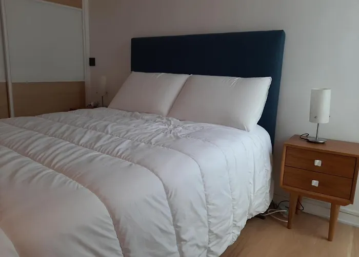 T3 Renove A 10 Min Du Centre-ville Avec Balcon, Garage Et Wifi A - Fr-1-239-584