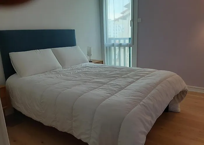 T3 Renove A 10 Min Du Centre-ville Avec Balcon, Garage Et Wifi A - Fr-1-239-584